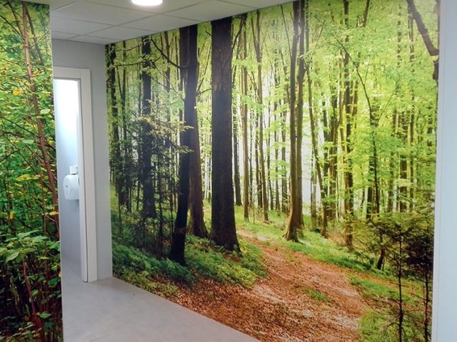 Decoración de Oficinas