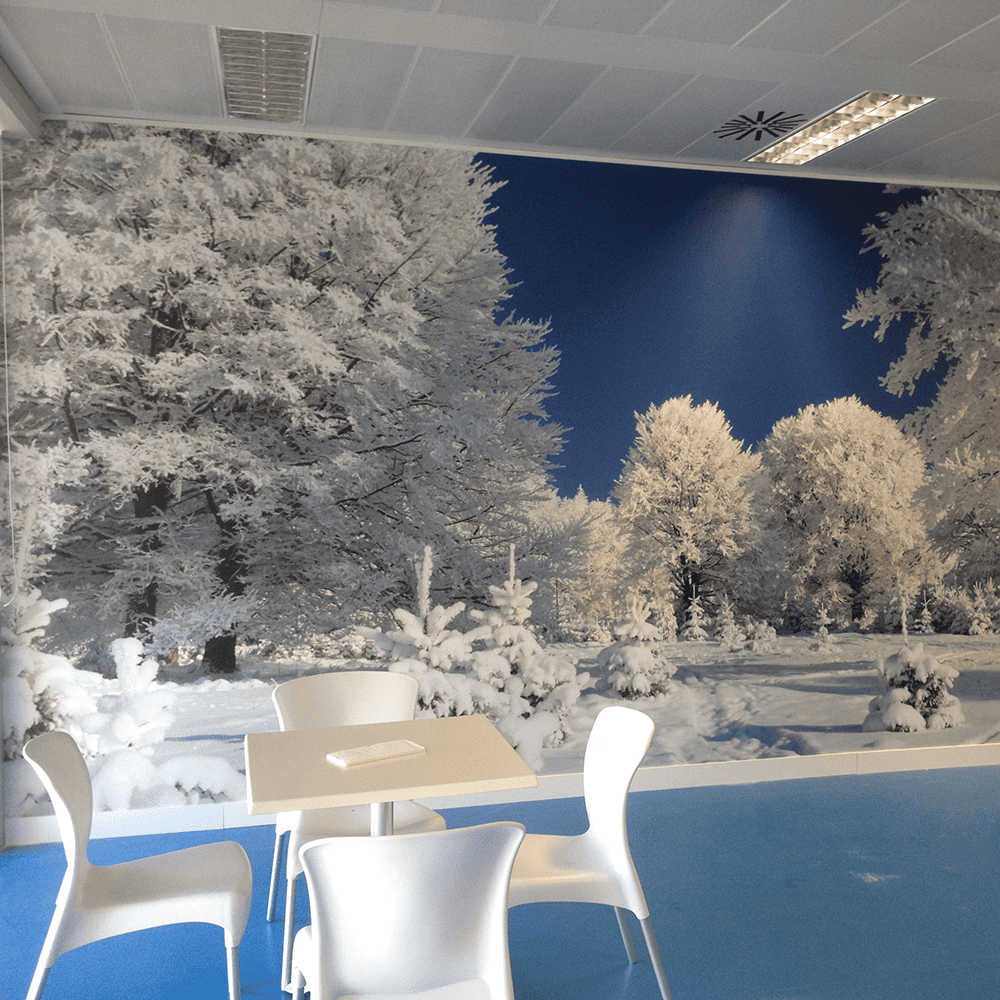 Decoración Comercial